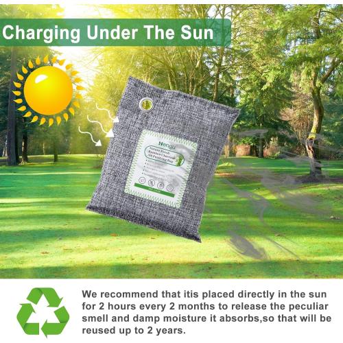 Size Large Set of 12 Activated Charcoal Odor Absorber (Large, 12 Pack, 100g each), Natural Charcoal Bags Odor Absorber Bamboo Charcoal Air Purifying Bag for Home, Fridge, Cabinet