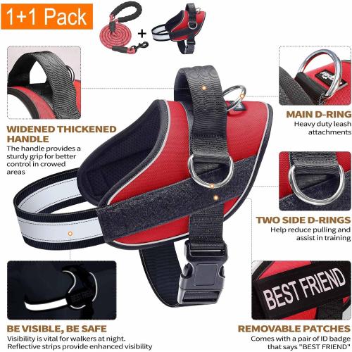 Haapaw Essential Dog Harness, No Pull Pet Vest with 3 Leash Clips, No Choke, Reflective, Adjustable and Padded, for Easy Walking and Training for Large Dogs(L, Red)