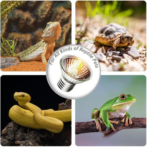 2-Pack 50W UVA Bulbs, Light Turtle Heat Lamp for Reptiles and Amphibian Tanks, Terrariums and Cages, Fit E26 Heat Reptile Lamp,Works with Various Lamp Fixtures,for Lizards, Snakes, Turtles
