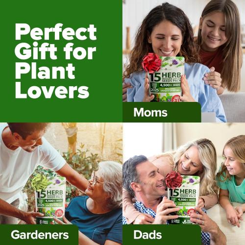 HOME GROWN 15 Herb Seeds for Planting 4,500  Non-GMO Heirloom Seeds | Extra Large Variety Pack Herb Kit – Indoor Outdoor & Hydroponic | Culinary Seed Set | Grow Your Own Herbs | Gardening Gift