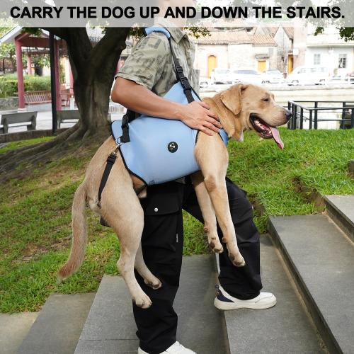 Coodeo Dog Lift Harness, Pet Support & Rehabilitation Sling Lift Adjustable Padded Breathable Straps for Old, Disabled, Joint Injuries, Arthritis, Loss of Stability Dogs Walk (Blue, L)