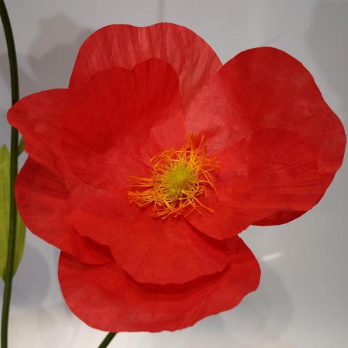 5.9FT Artificial Paper Flowers, Large Flower Backdrop | Handmade giant flowers for wedding decor, party photography, home decoration, events, and store window displays.