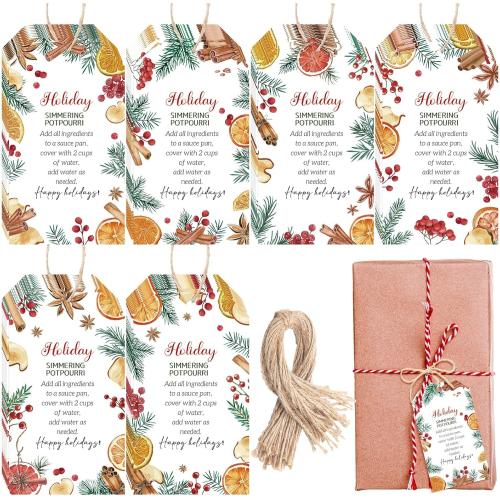 Faccito 60 Pcs Christmas Stovetop Potpourri Tag Gifts Simmer Pot Stovetop Potpourri Instructions Tag Teacher Coworker Thank You Gifts for Winter Holiday Present Party Favors Guest Xmas Gift
