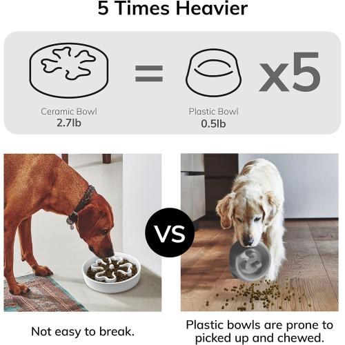 Slow Feeder,Ceramic-Slow Feeder Dog Bowls Medium Breed,Puzzle Food Bowl Maze,2.5 Cups Slow Feed Dog Bowl for Medium Dogs,White
