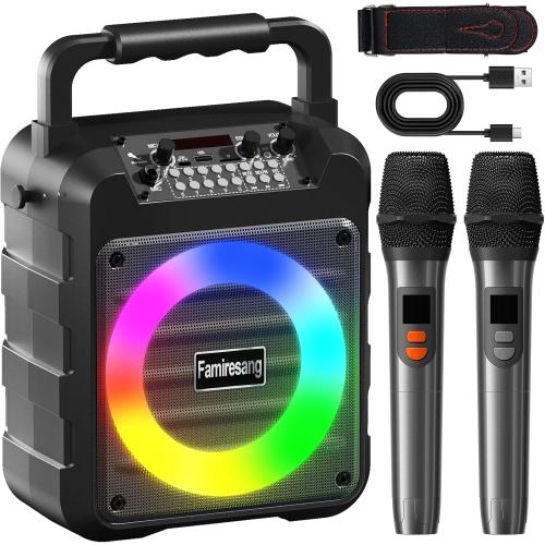 Karaoke Machine for Adults - Portable Bluetooth Karaoke Speaker with Two Wireless Microphones, PA System Speaker Supports TF Card/USB, AUX in, REC, Bass & Treble for Party/Meeting