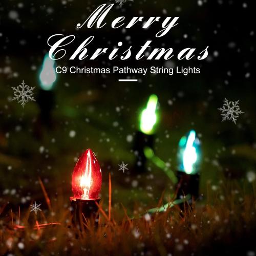 TIORIY Christmas Lights Outdoor 20 Pathway Lights - 24.2ft Multicolor Walkway Light with Stakes, C9 Driveway Light for Outside Yard Garden, Extendable for Xmas Holiday Decorations, 20 Lights