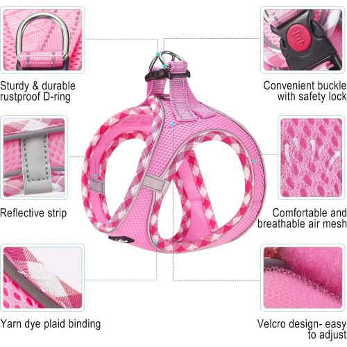 haapaw Dog Harness with Leash Set, No Pull Adjustable Reflective Step-in Puppy Harness with Thickened Padded Vest for Extra-Small/Small Medium Dogs