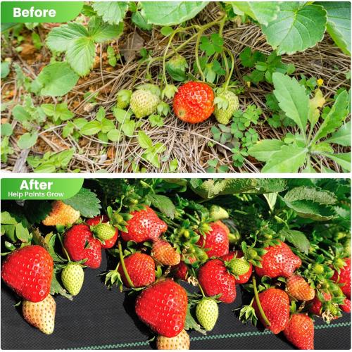 Weed Barrier Landscape Fabric, 3 x 50FT Heavy Duty Weed Blocker Garden Ground Cover Fabric Control Mat, Woven Mulch Fabric for Landscaping Driveway 3.2 OZ