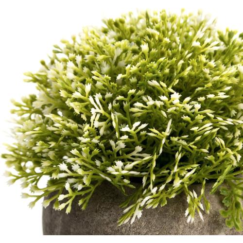 Velener White Mini Artificial Plant Topiary Ball Pot Set- Magnolia Flowers Cottagecore Decor Indoor Plant Shelf Home Office Small Desk Decorations Green Room Accessories Bathroom Kitchen Counter Aloe