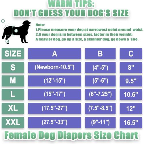 wegreeco Washable Reusable Premium Female Dog Diapers, Medium Large Small Dog Doggie Puppy & Doggy Diapers Female,Period Panties in Heat (Pack of 3, SMALL)