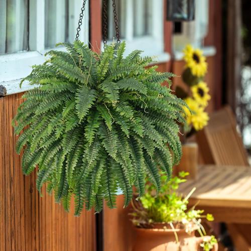 50 Artificial Boston Ferns, Fake Bush Plants, Large Faux Ferns with 96 Fronds for Outdoors Home Decor