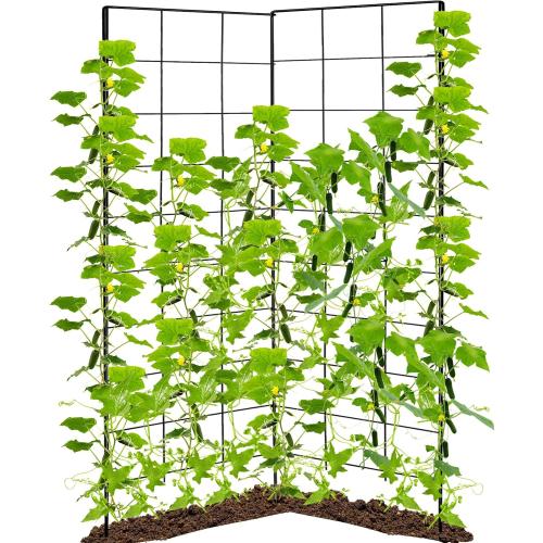 59 H x 31 L Foldable Cucumber Trellis for Climbing Plants,Two Panel Frame Garden Trellis,Raised Bed Vegetables Trellis for Bean,Peas,Grape,Cucumber,Fruit,Flower