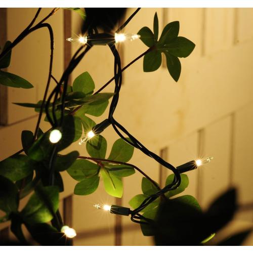 35-Count Clear Christmas Light Set