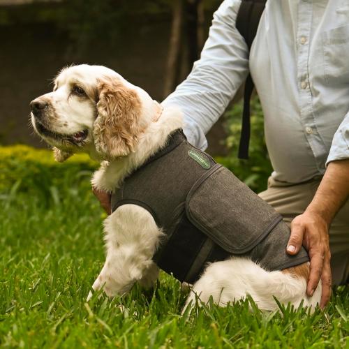 Calming Vest: Anxiety and Stress Relief for Dogs - Dog Anxiety Relief Calming Vest (Medium), Gray