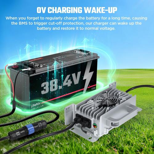 36V 25A Lithium Battery Charger 1250W Fast Charging & 0V Wake Up with 2 Mounting Ways, IP67 Waterproof 43.8V LiFePO4 Charger, Efficiency ≥ 94%, for 36V(38.4V) Golf Cart/Trolling Motor/RV/Boat Battery