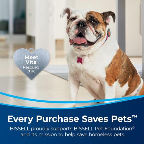 Bissell Little Green Pro Portable Carpet & Upholstery Cleaner and Car/Auto Detailer with Deep Stain Tool, 3 Tough Stain Tool, Plus Two 8 oz. Trial-Size Formulas, 3194