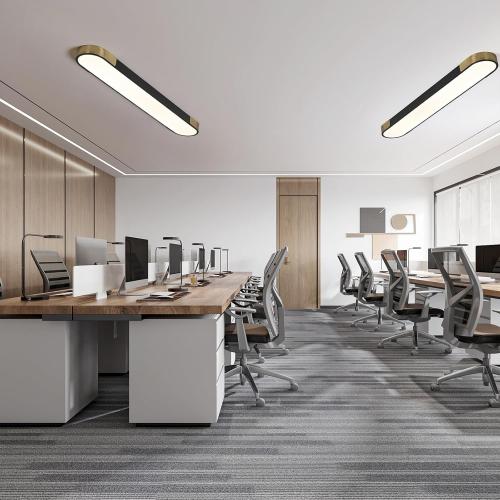 Qcyuui 4FT LED Light Fixture 60W Dimmable Led Ceiling Light Black and Gold Flush Mount Ceiling Light Modern Light Fixtures Ceiling for Kitchen Closet Garage Office Hallway