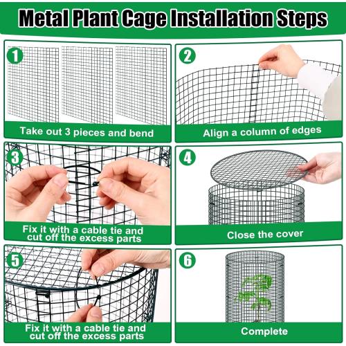 10 Pack Wire Plant Protector with Cover, 16x12 Detachable Metal Plant Protectors Mesh, Garden Plant Protectors for Shrubs Flowers Vegetables to Keep Rabbit & Chicken Animals Out