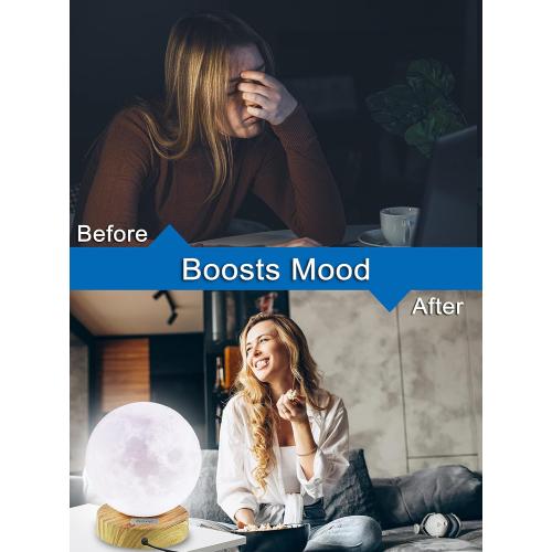 Light Therapy Lamp,10,000 LUX UV-Free Sun Light, Sunlight Lamp with Remote Control and Timer, Fight Off Winter Blues, Mood Light, Daylight Lamp,Therapy Lamp-1737