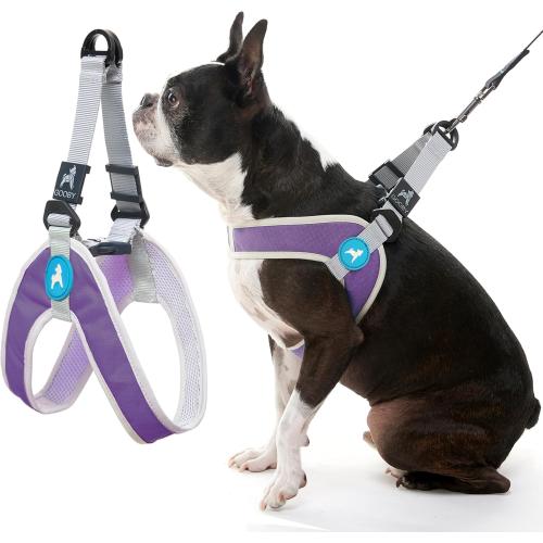 Size S Gooby Simple Step in III Harness - Purple, Small - Small Dog Harness with Scratch Resistant Outer Vest - Soft Inner Mesh Harness for Small, Medium Dogs