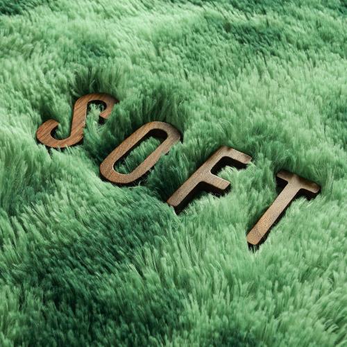 Large Area Rugs for Living Room, Super Soft Fluffy Modern Bedroom Rug, Tie-Dyed Green Indoor Shag Fuzzy Carpets for Girls Kids Nursery Room Home Decor