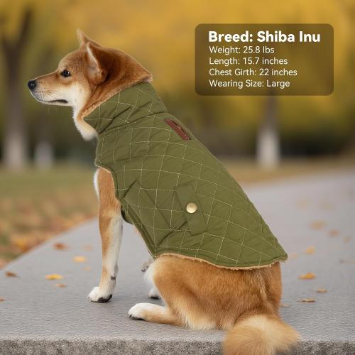 Dog Winter Coat, Warm Dog Jacket Windproof Waterproof Pet Cold Weather Coats for Small Dogs, Turtleneck Fleece Lined Dogs Clothes with Leash Hole, Green Medium (color pink)