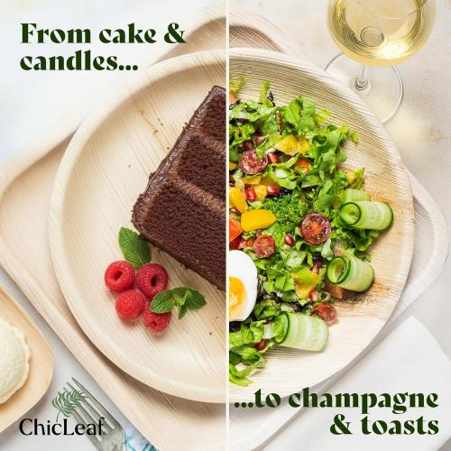 Chic Leaf Palm Leaf Compostable Plates - 6 Square, Pack of 50 - Disposable Dinnerware - Rustic Bamboo Appetizer Plates - Charcuterie Boards & Biodegradable Serviceware