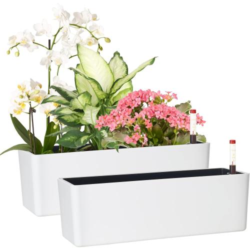 GardenBasix Elongated Self Watering Planter Pots 2-Pack Window Box 5.5 x 16 inch Indoor Home Garden Modern Decorative Planter Pot for All House Plants Flowers Herbs (White,2)
