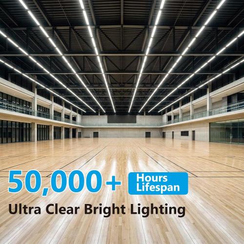 4 Foot 5000K T8 LED Bulbs T12 Fluorescent Tube Replacement | 36W 3600LM, G13 Big-Pin, F32T8 F40T12 LED Replacement, Dual-End Powered Type B Ballast Bypass Shop Lighting
