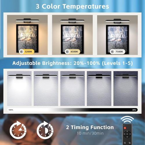 2 Pack Picture Lights for Wall, Rechargeable LED Picture Light Battery Operated with Remote, Dimmable Poster Light for Paintings, Portraits, Art Frames, Display Lighting for Wall Decor,Black