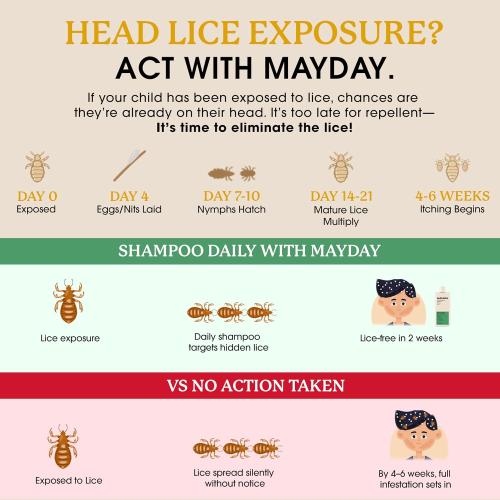 MAYDAY Daily Lice Routine, 12oz Shampoo & Conditioner, Sandalwood & Mint