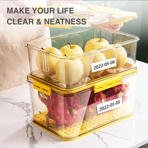 SUPVAN T50M Series Genuine Label Tape, 1-1/2 x 1-1/8, Transparent
