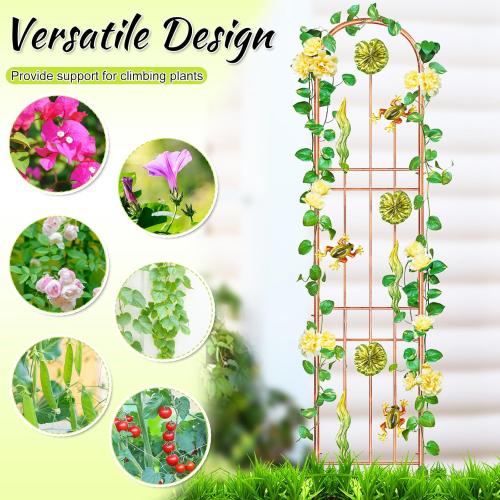 2Pcs Metal Garden Trellis, Arched Fence Trellis Plant Support Trellises, Supporting Plants Outdoor Decoration for Climbing Plants Lawn Yard Patio Backyard Wall Brackets (Frog)