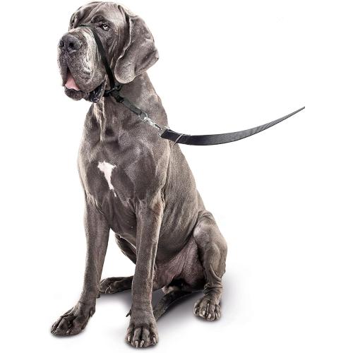 Size Large Color Black Beaphar - Gentle Leader - L - Black - 1 Piece