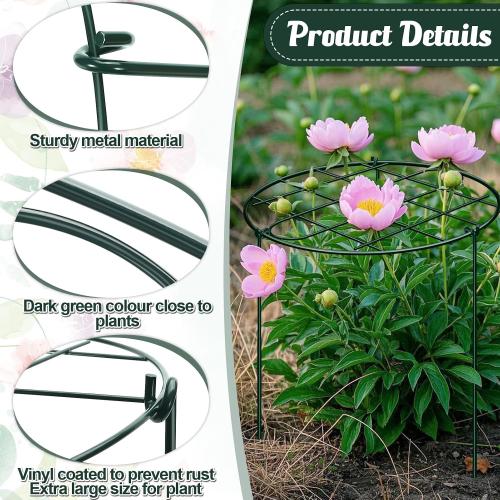 6 Pack 16 x 24 Inch Peony Cages and Supports Grow Through Plant Grid Support,Metal Plant Brace Support Peony Rings Hoops for Outdoor Plants Vegetables,Rose,Tomato,Orchids