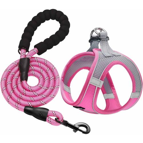 haapaw Dog Harness with Leash Set, No Pull Adjustable Reflective Step-in Puppy Harness with Thickened Padded Vest for Extra-Small/Small Medium Dogs