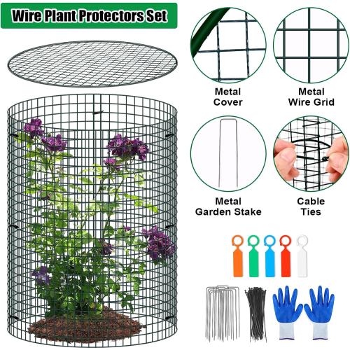 5 Pack Wire Plant Protector with Cover, 16x12 Detachable Metal Plant Protectors Mesh, Garden Plant Protectors for Shrubs Flowers Vegetables to Keep Rabbit & Chicken Animals Out
