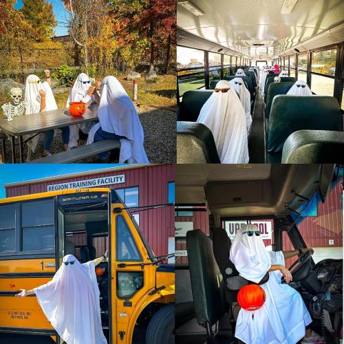 Maple&Stone Twin Flat Sheet 6 Pack,Premium Soft & Breathable,Brushed Microfiber Fabric,Anti-Shrinkage & Non-Fading,Bulk Flat Sheets Only Twin Size (White)