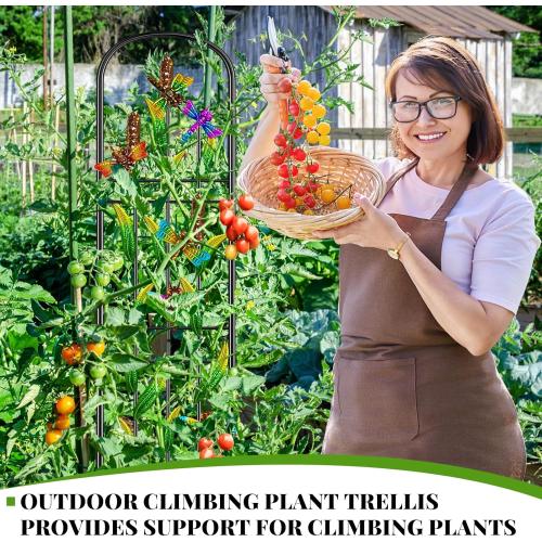 2 Pack Garden Trellis for Climbing Plants Outdoor, Metal Arched Fence Trellis Plant Climbing Support Decorative, Plant Trellis Indoor for Vines Flowers Vegetables Wall Brackets, 60 x 11