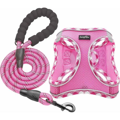 haapaw Dog Harness with Leash Set, No Pull Adjustable Reflective Step-in Puppy Harness with Thickened Padded Vest for Extra-Small/Small Medium Dogs