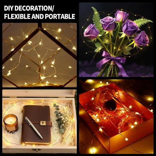 Timer Flashing Led String Fairy Light,2 Pack Mini Battery Powered Copper Wire Starry Lights,Battery Operated Christmas Lights for Bedroom,Parties,Wedding,Gift Decoration(5m/16ft Warm White)