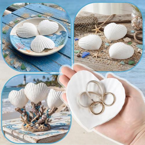 Thyle Natural Scallop Shells for Crafts 4 Inch White Heart Sea Shells for Summer DIY Craft Making Painting Cooking Summer Ocean Themed Party Supplies and Decoration(12 Pcs)
