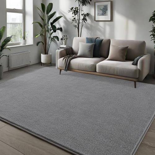 Pettop Area Rugs for Bedroom Living Room, 4x6 Grey Thickened Memory-Foam Indoor Carpets, Modern Aesthetic Minimalist Super Soft Comfy Carpet for Boys Girls Adults Room Dorm Home Decor