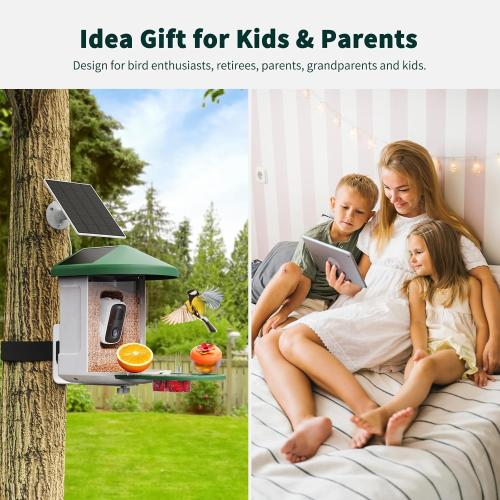 Bird Feeder with Camera with AI Identify Birds Species Solar Powered, Smart Bird House with Cam, 2K HD Video Live Stream, Instant Arrival Alerts - Green