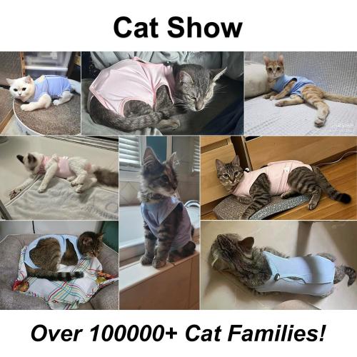 Cat Recovery Suit, Surgical Recovery Clothes for Abdominal Wound or Skin Disease, Cats Onesie After Surgery and Spay, E-Collar Alternative Pajama Suit (Pink, Medium)