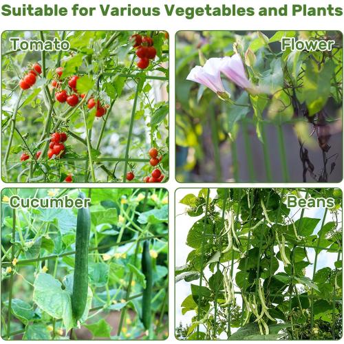 DOEWORKS Cucumber Trellis, 48 High Foldable A Frame Garden Trellis, 2 Pack, Plant Support for Climbing Cucumber, Beans, Tomatoes, Flowers, Green