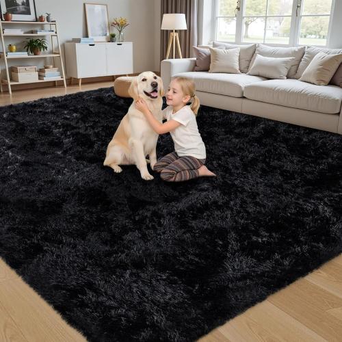 Area Rug for Living Room:Ultra Soft Fluffy Shag Black Rugs,Large Fuzzy Plush Indoor Non Slip Carpet Washable Rug for Bedroom Kids Nursery Office Dorm Modern Decor(Black)