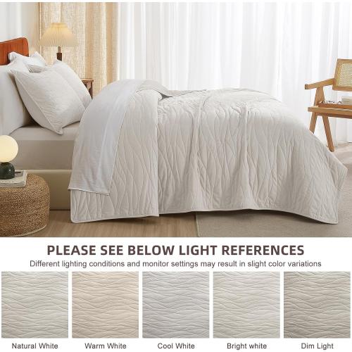 ‼️COLORS MAY VARY‼️Velvet Quilt Queen Comforter Set, Lightweight Soft Quilts Queen Size, Bedspread Coverlet with 2 Matching Pillow Shams, Velvet Comforter Bedding Set for All Season (Off-White, Wave)