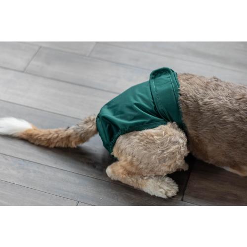 Pet Parents® Washable Dog Diapers (3pack)   Extendrs® of Durable Doggie Diapers, Premium Dog Diapers Female (Large, Spruce)