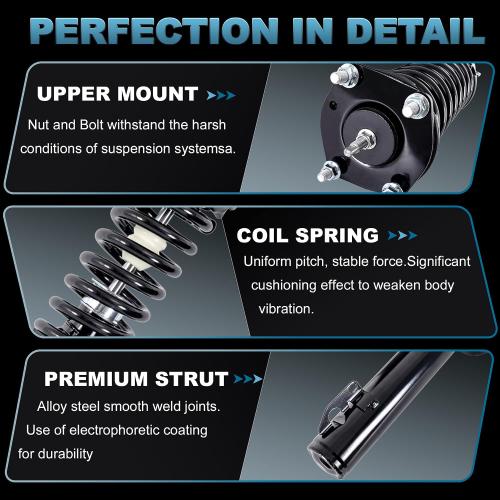 Front Struts & Coil Spring Assembly Shock Absorber 172245 Compatible for Scion xA xB 2004 2005 2006